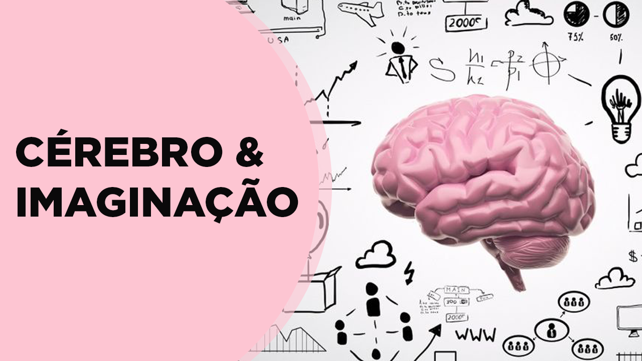 Cérebro e Imaginação